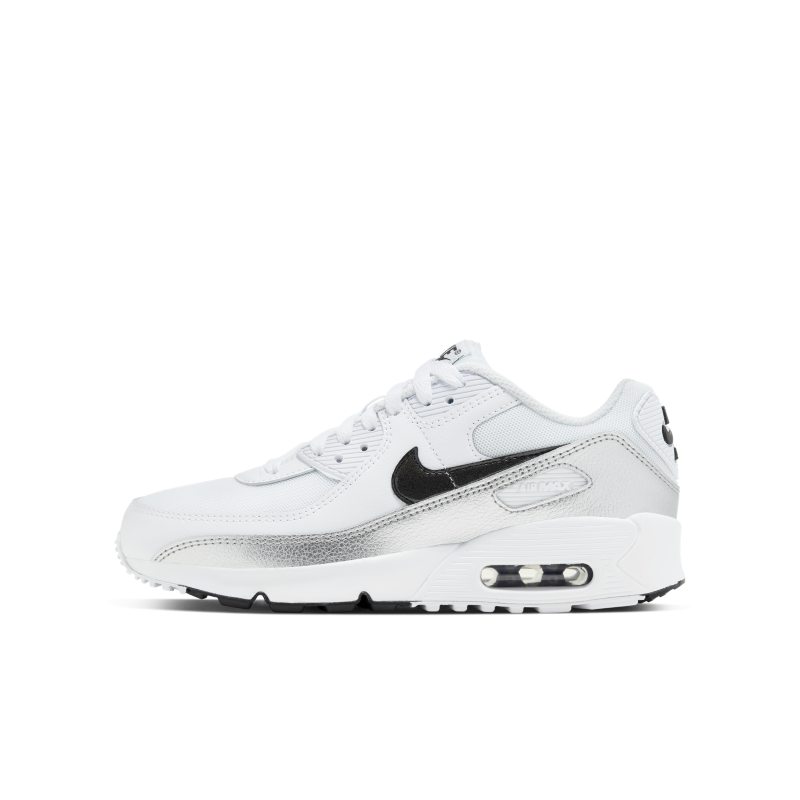 Nike Air Max 90 CZ5867-100