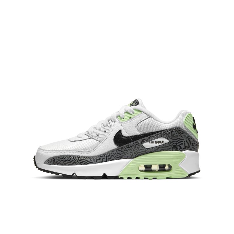 Nike Air Max 90 DH4111-100