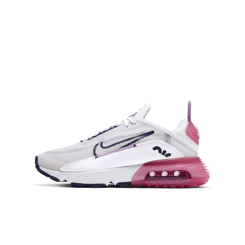 Nike Air Max 2090 CJ4066-003