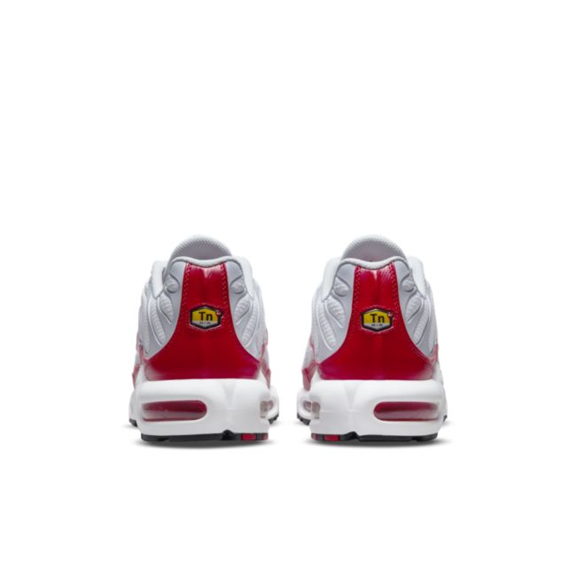 Nike Air Max Plus ‘Air Max 1’ DM8332-100 04