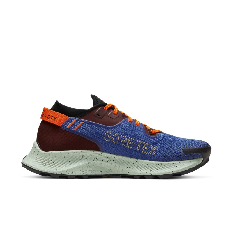 Nike Pegasus Trail 2 GORE-TEX CU2018-600 03