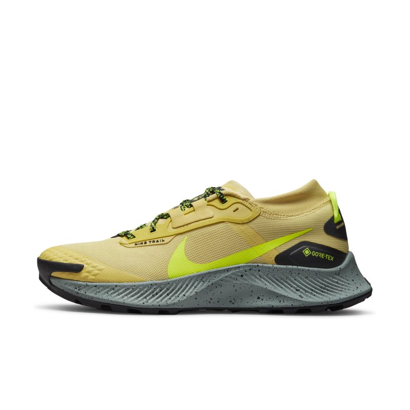 Nike Pegasus Trail 3 GORE-TEX DC8793-300