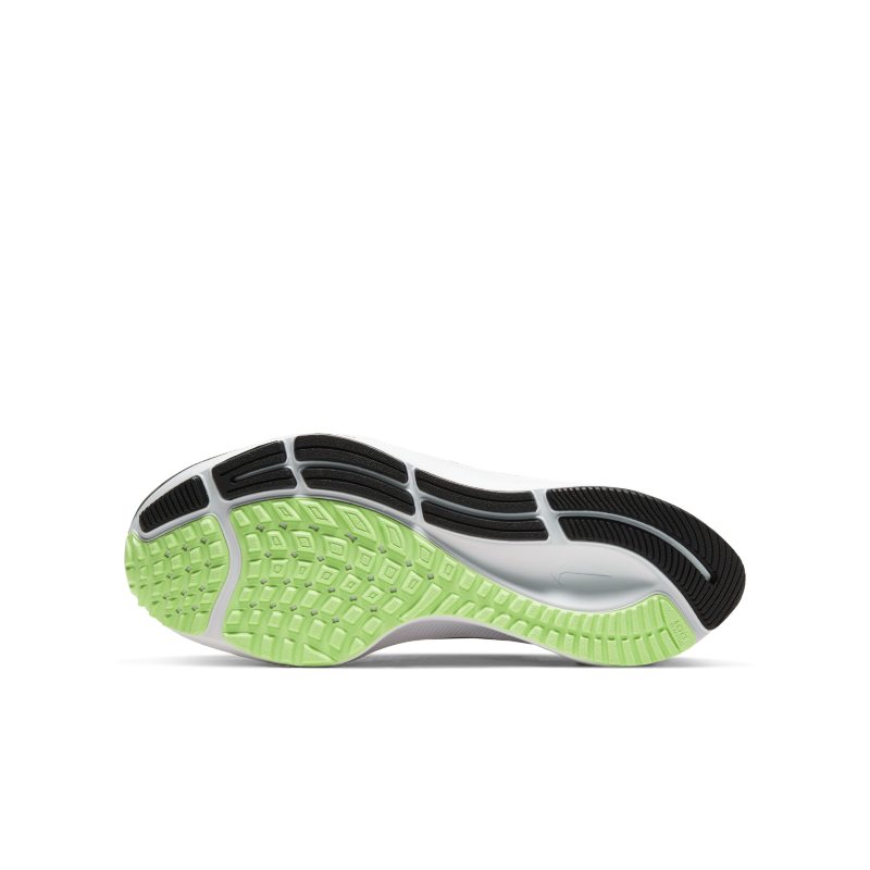 Nike Pegasus | CJ2099-001 | SPORTSHOWROOM
