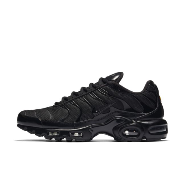 Nike Air Max Plus 604133-050