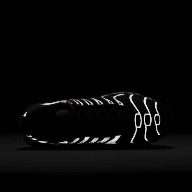 Nike Air Max Plus DN7997-001 04