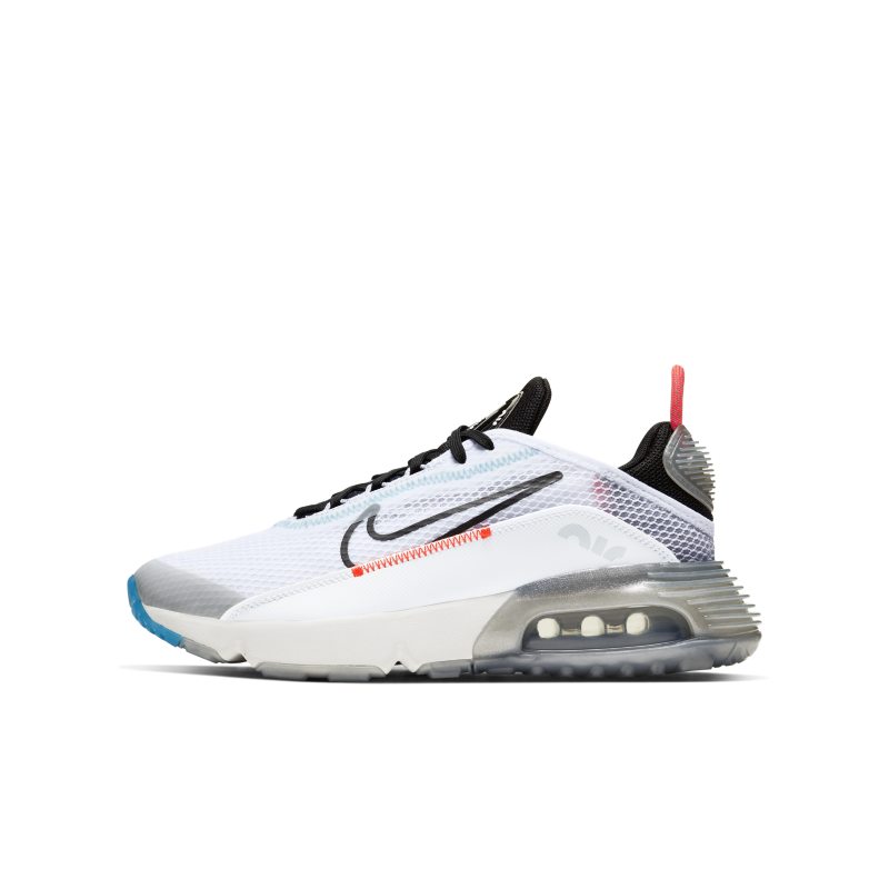 Nike Air Max 2090 CJ4066-100