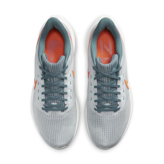 Nike Pegasus | DH4071-003 | SPORTSHOWROOM