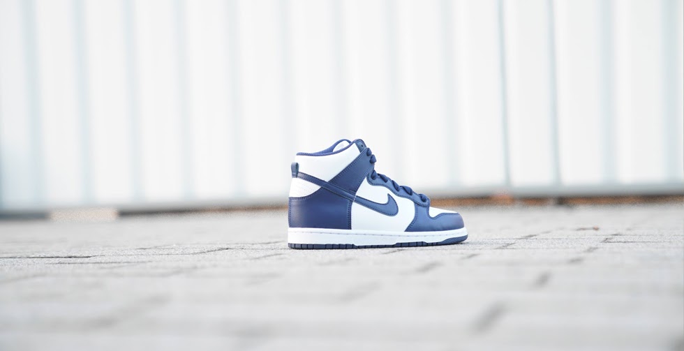 Nike Dunk 1