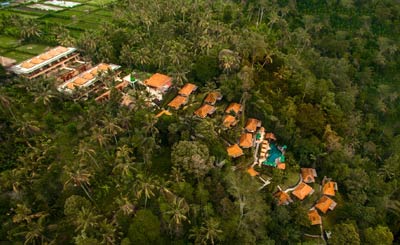 Nandini Jungle Resort and Spa 