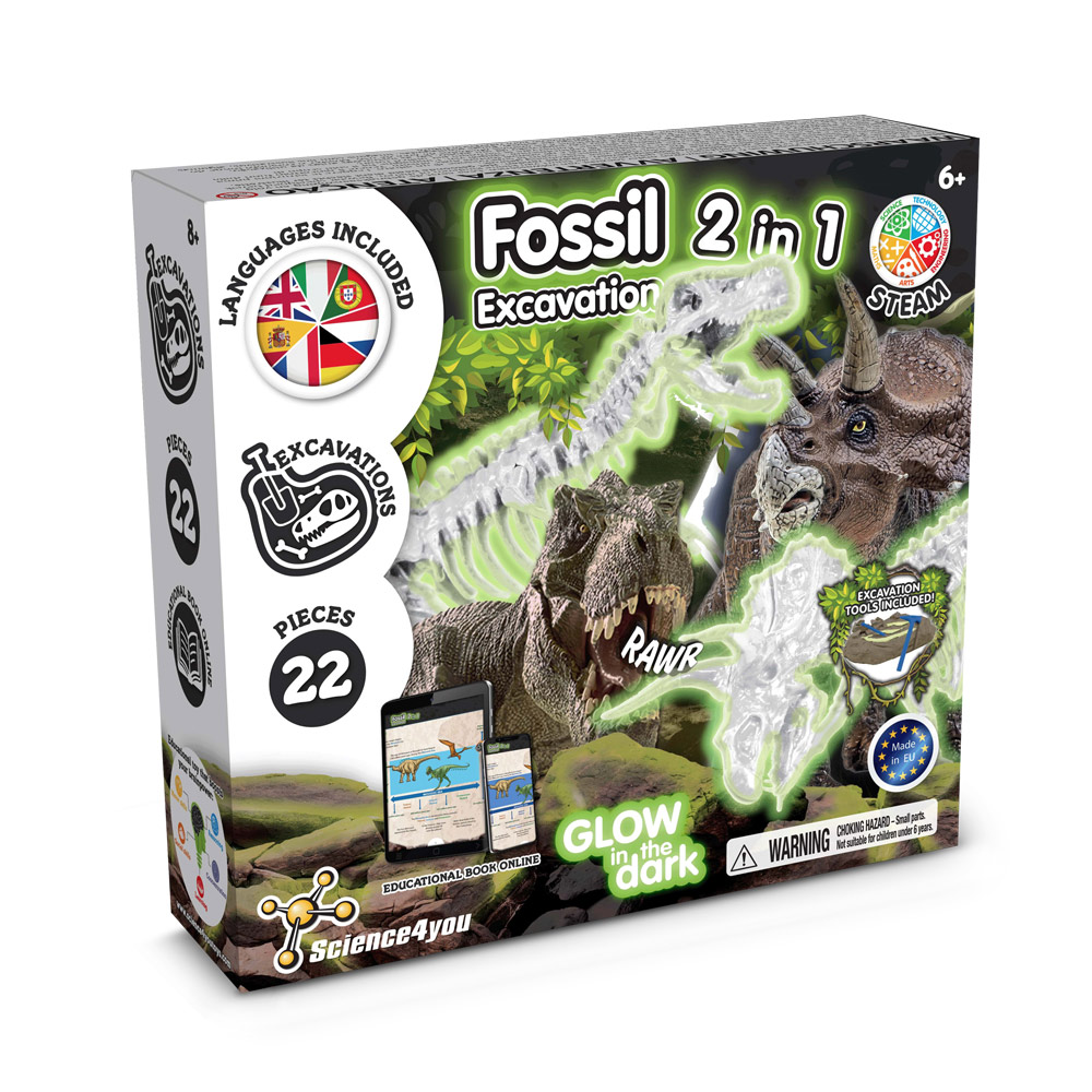 2 in 1 Fossil Excavation Kit I. Gioco educativo per bambini