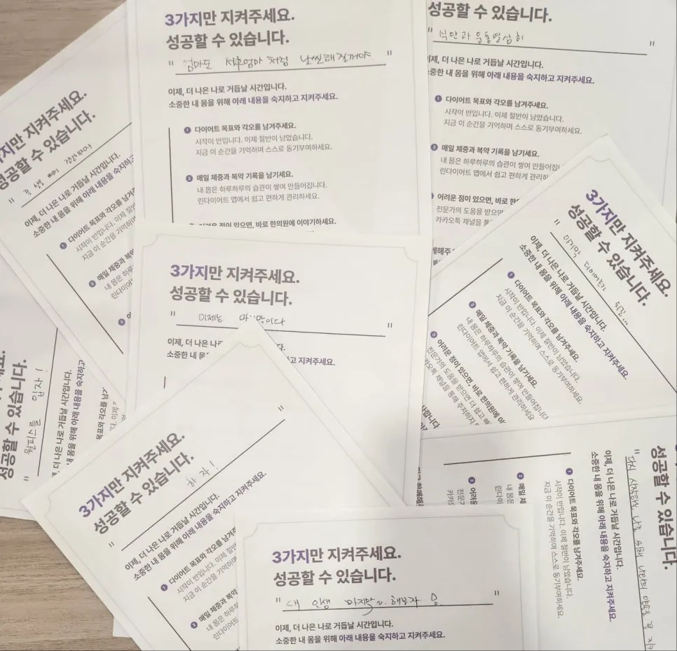 다이어트 최적기 돌입