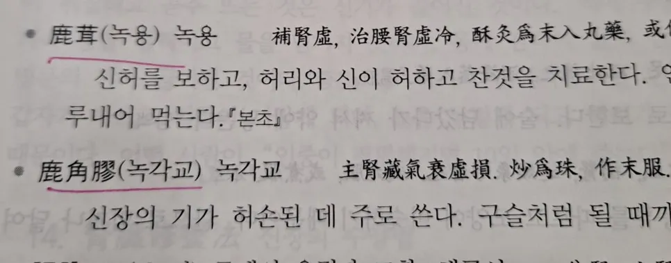 동의보감 내용 발췌