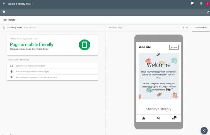 Rich Results Test tool