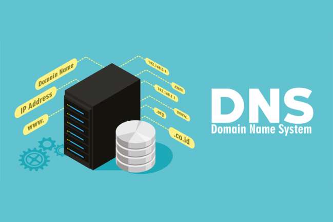DNS (Domain Name System) settings