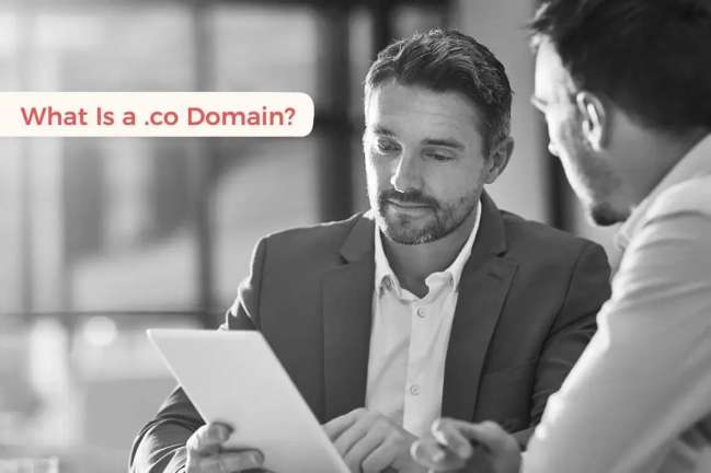 .CO domain