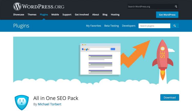 All in One SEO