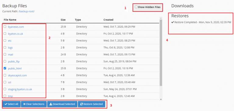 jetbackup3