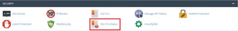 SSL/TLS Status