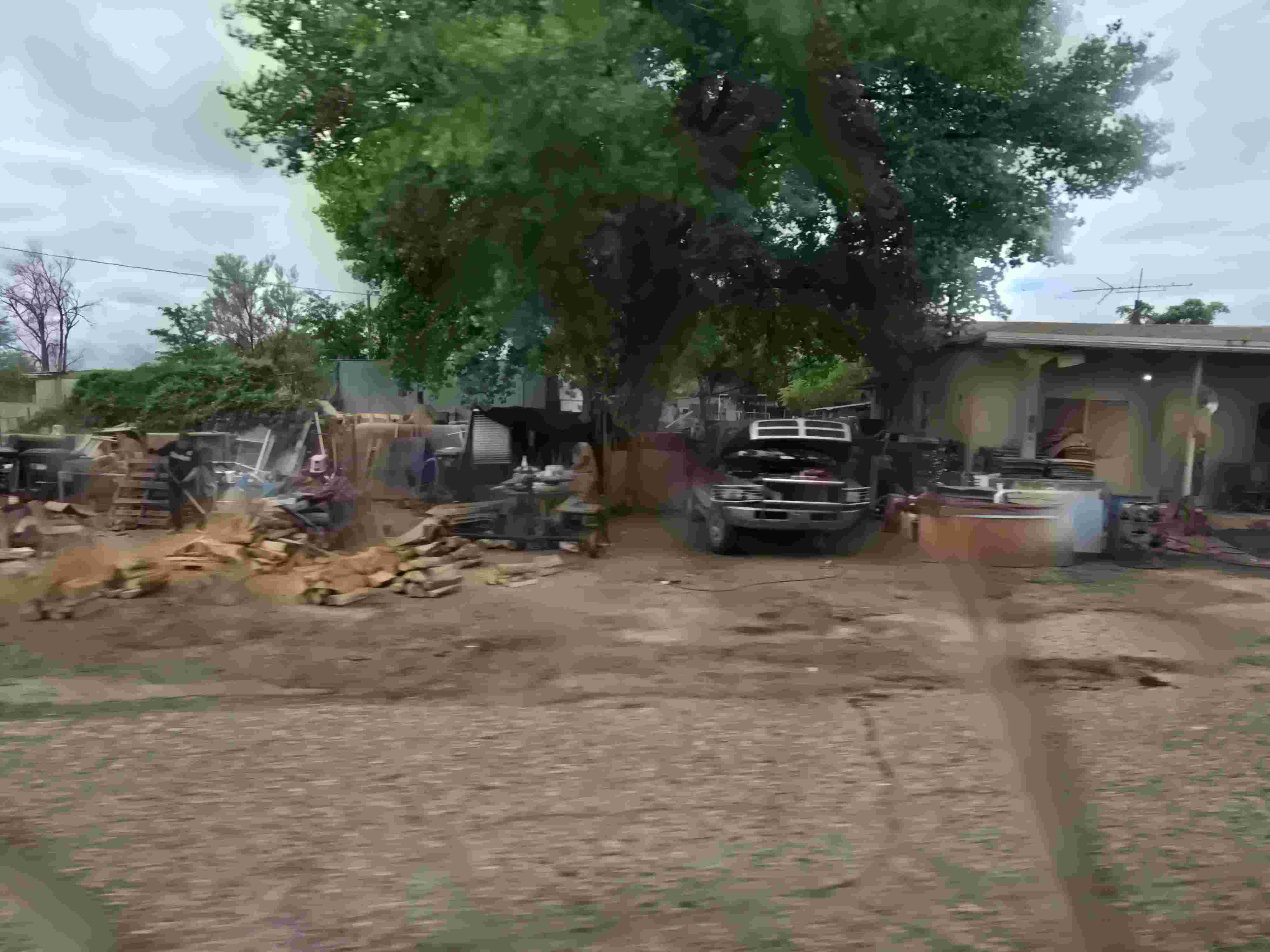 Photo of Roadside Firewood