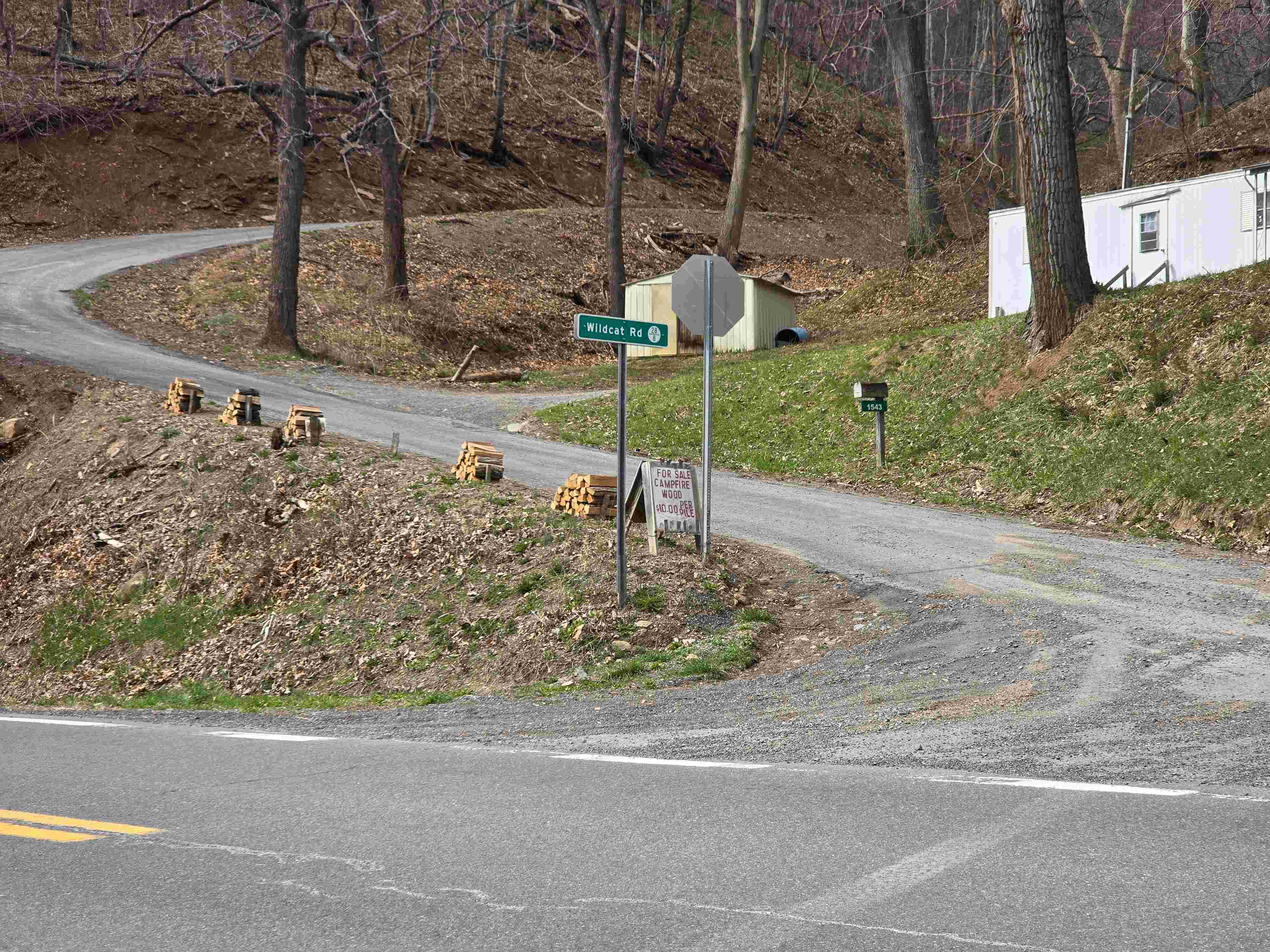 Photo of Large Piles along Driveway
