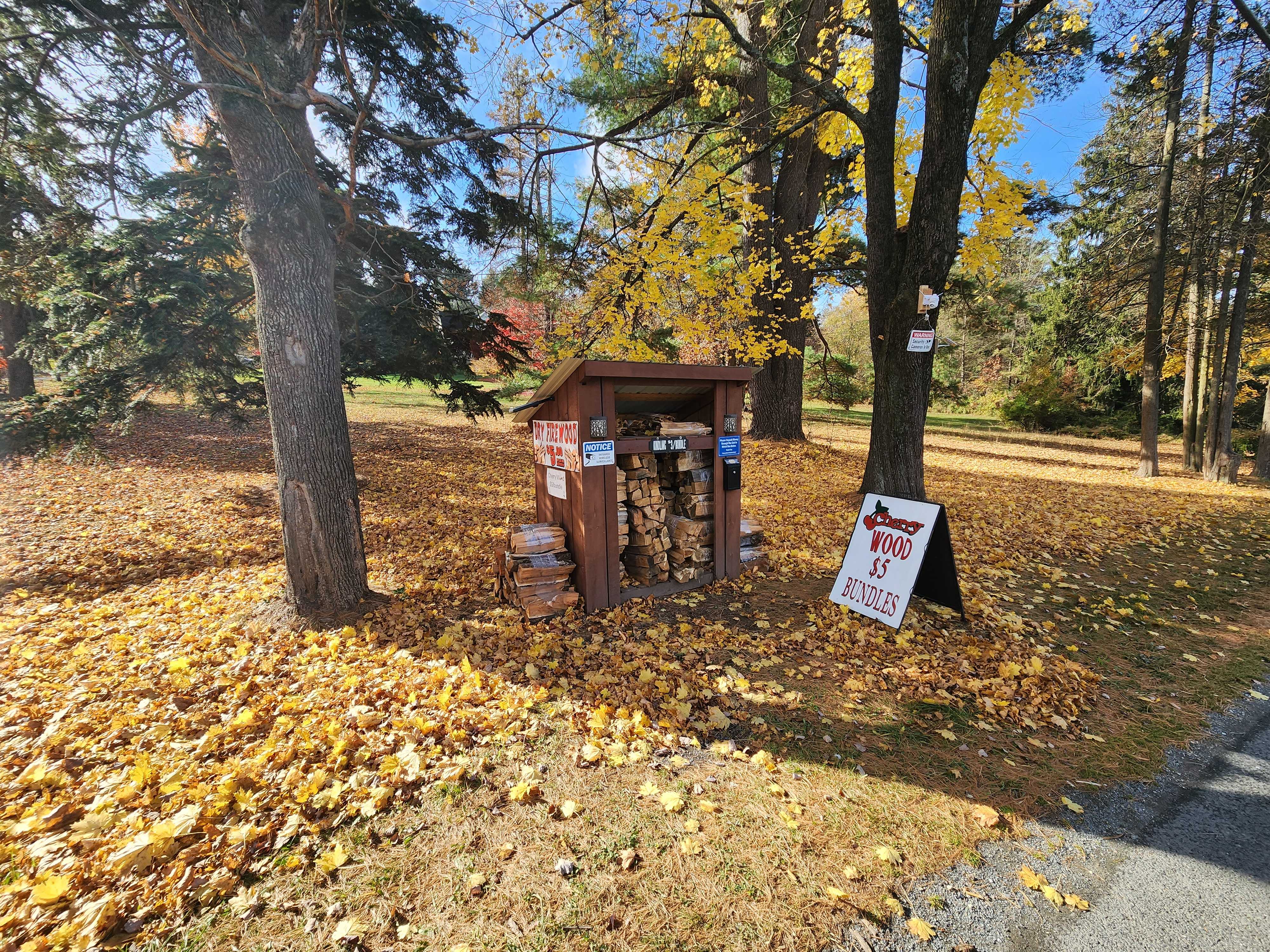 Photo of Cherry Wood Stand