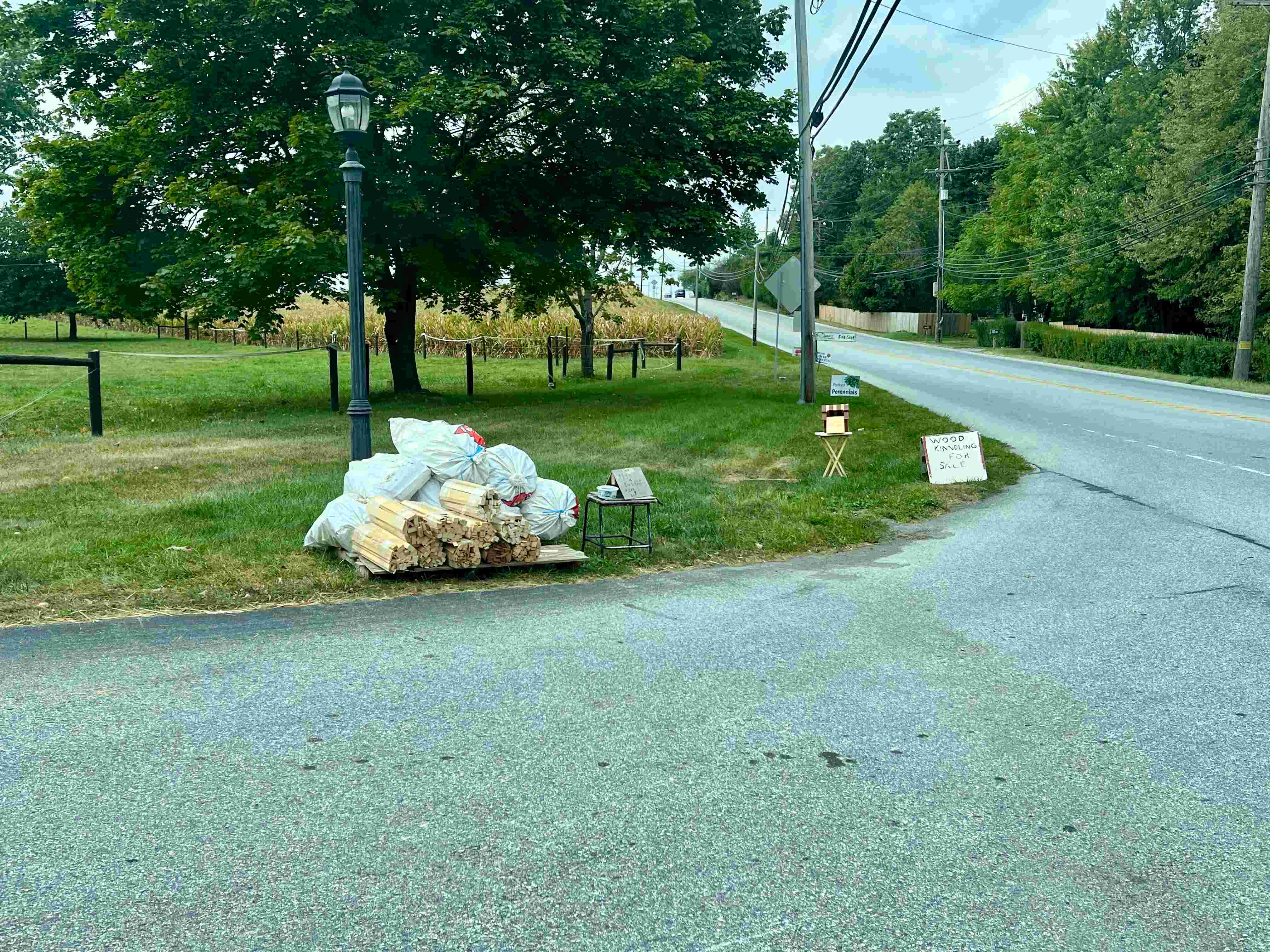 Photo of Roadside Firewood