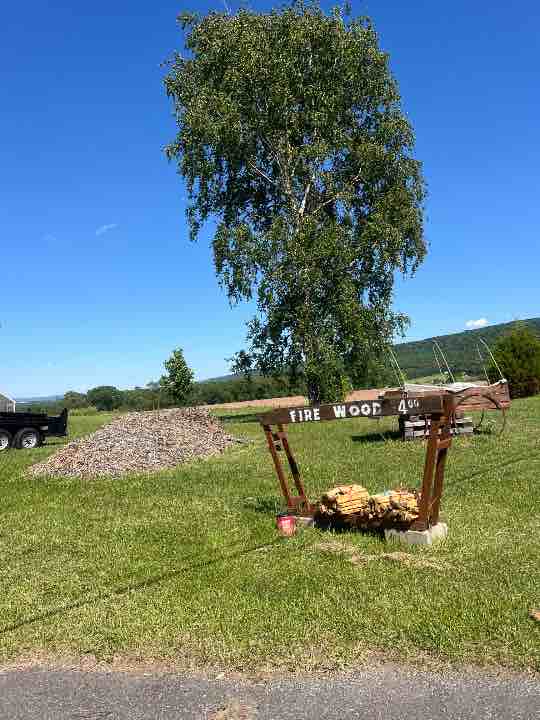 Photo of Roadside