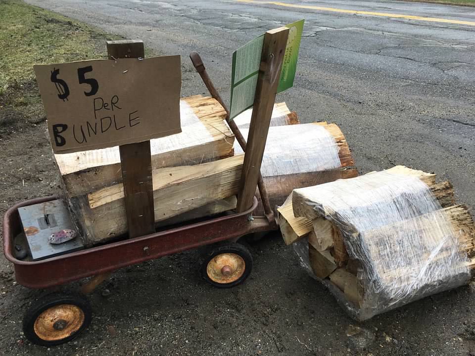 Photo of Kids Firewood on Sunny Days