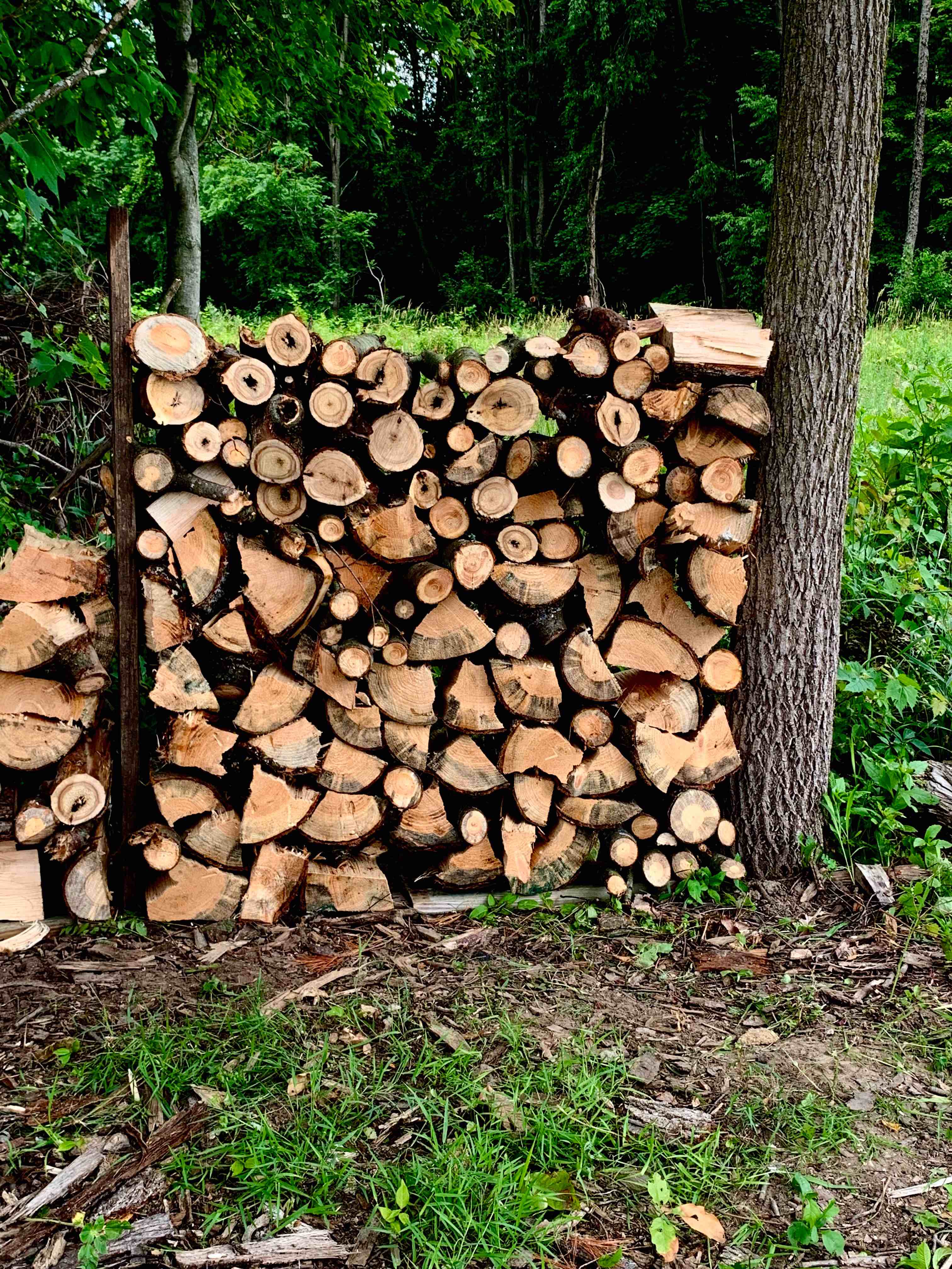 Photo of TB Firewood