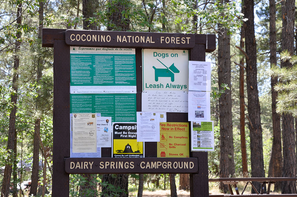 Photo of Dairy Springs Campground