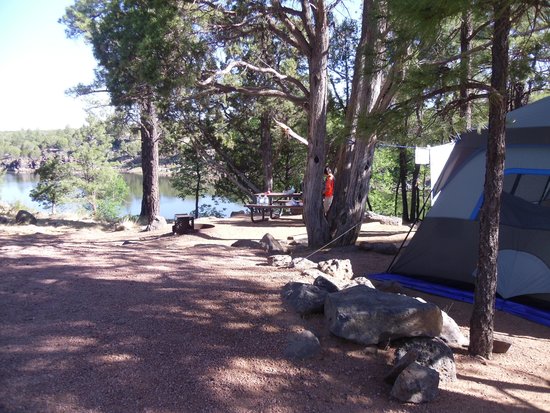 Photo of Fool Hollow Lake Campground