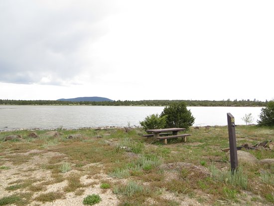 Photo of Forked Pine Campground