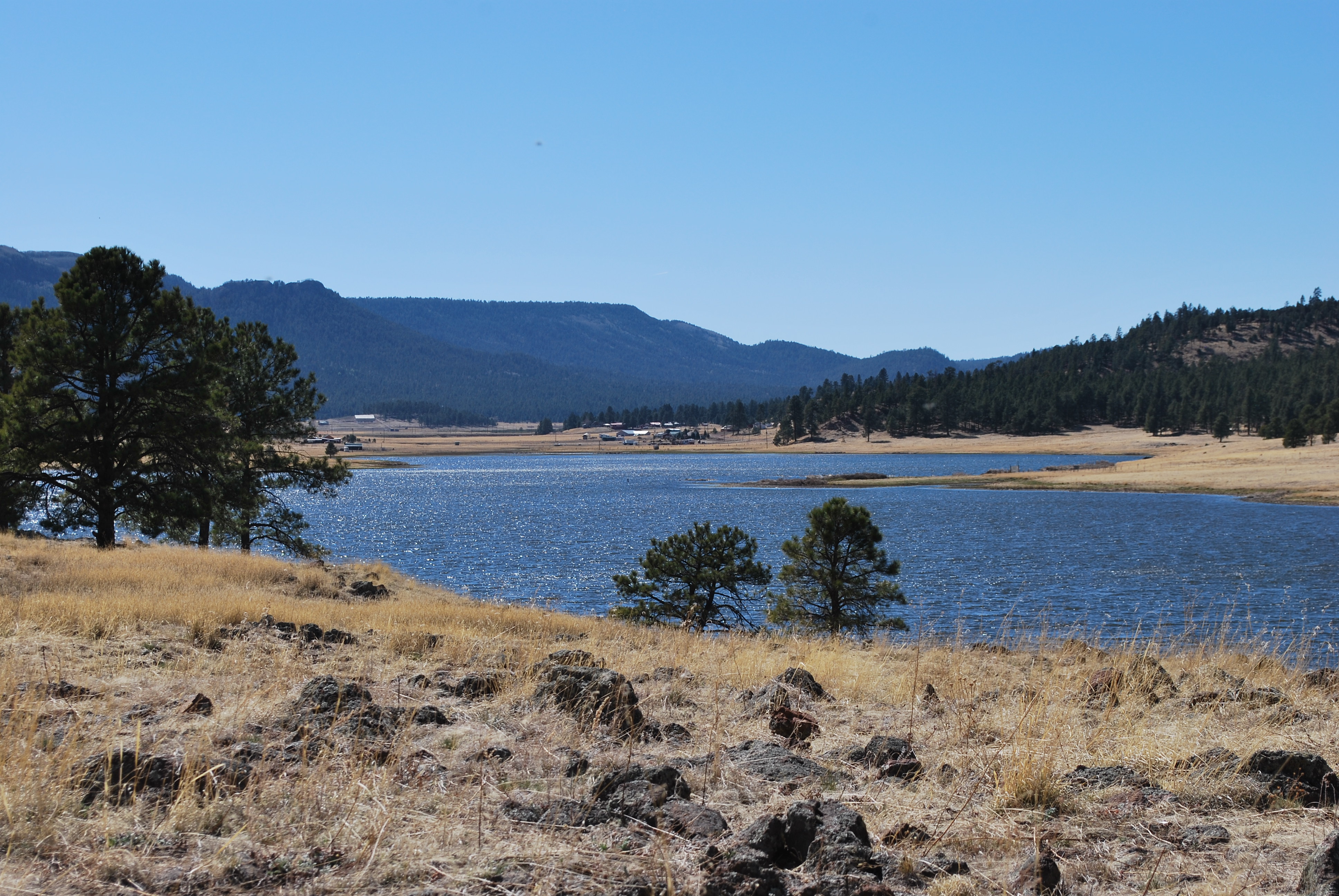 Photo of Luna Lake Campground