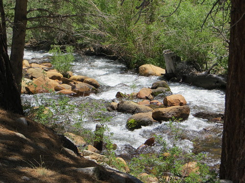 Photo of Upper and Lower Intake