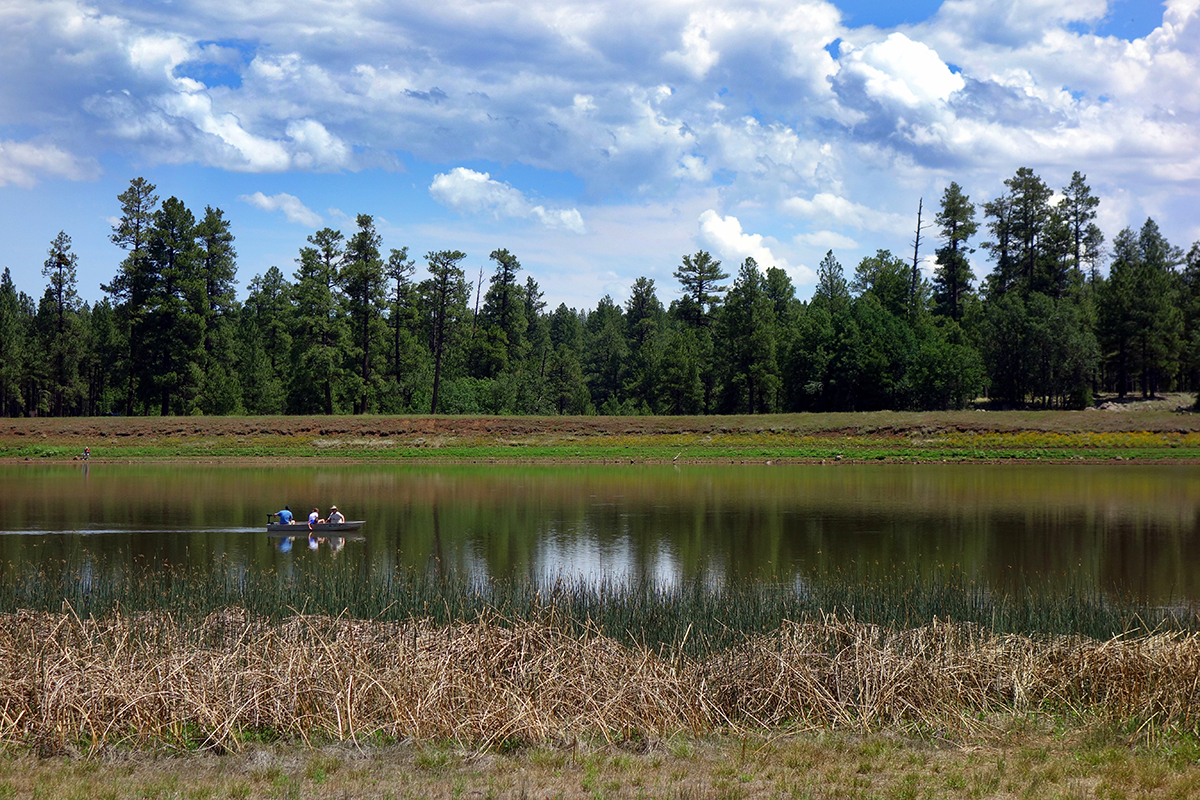 Photo of White Horse Lake Campground