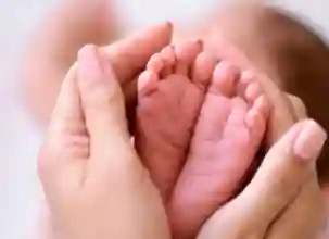No discrimination between regularised & other women emploees for maternity benefits: Madras HC