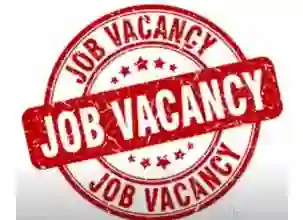 Telangana to add 60,000 to 70,000 state govt. jobs 