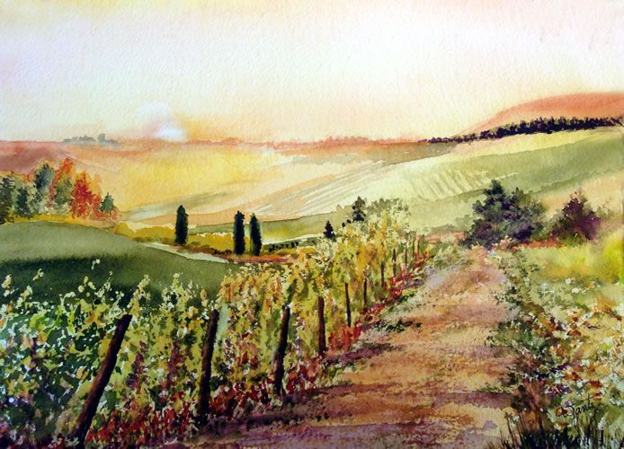 <p>TUSCANY VINEYARD</p>