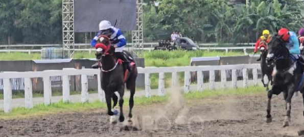 20 Ribu Pengunjung Memadati Pacuan Kuda di Bantul Yogyakarta-Image-1 20 Ribu Pengunjung Memadati Pacuan Kuda di Bantul Yogyakarta-Image-1