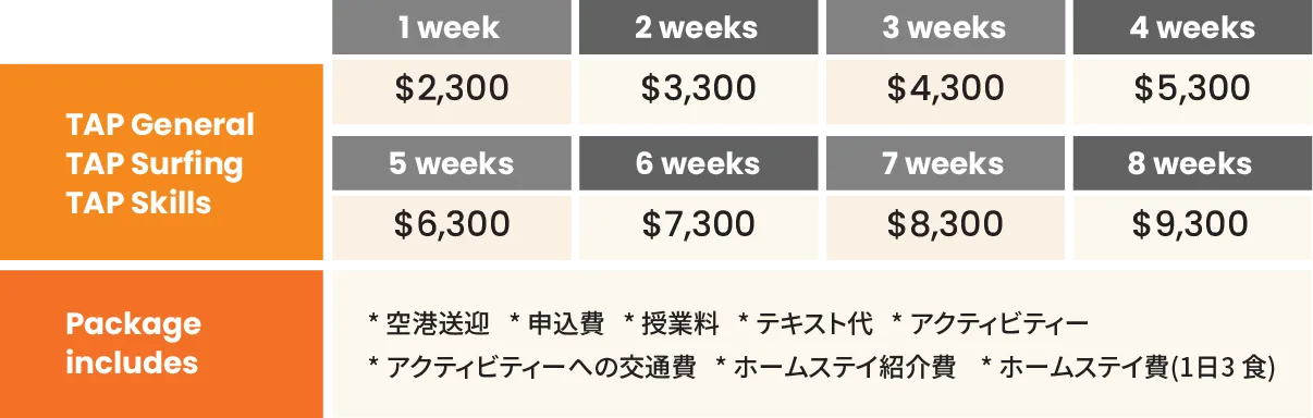 Lexis Junior プログラムの費用