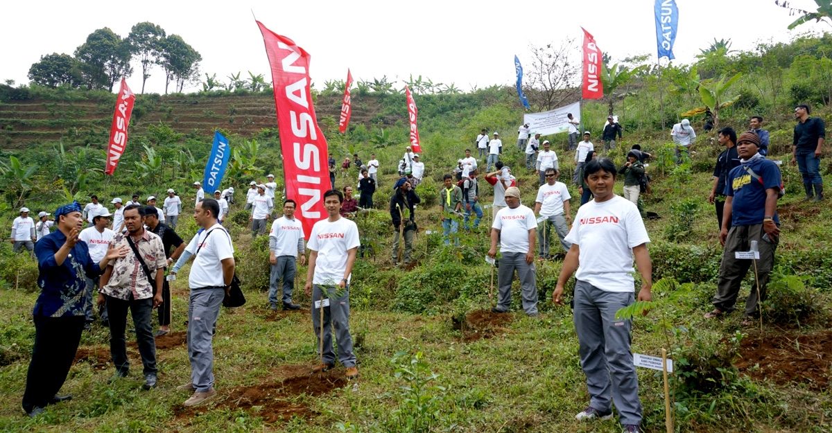 penanaman 6000 pohon nissan