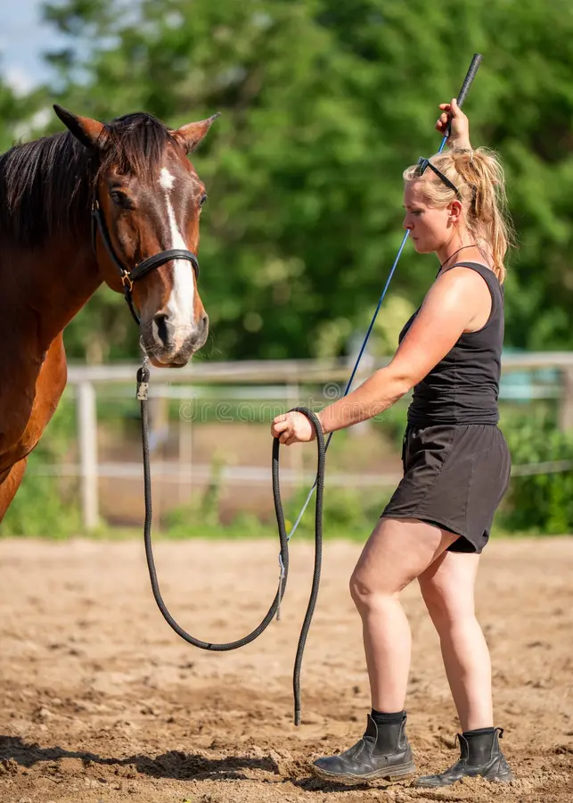 Global Equestrian Market Shows Strong Growth in 2025 case study image