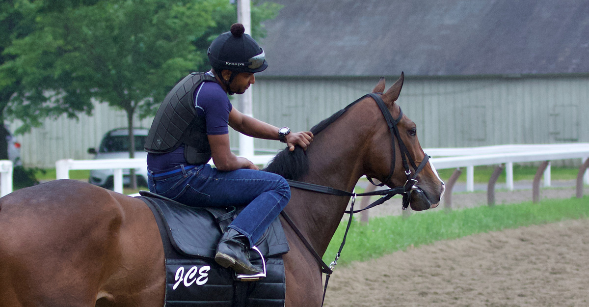 Focus on Horse Welfare Gains Momentum Across Training Facilities case study image