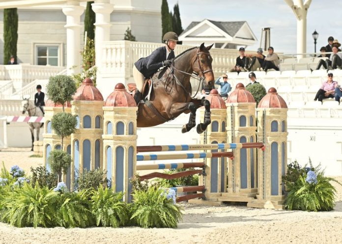 Elite Sport Horses Take Center Stage at the National Equestrian Championship 2025 case study image