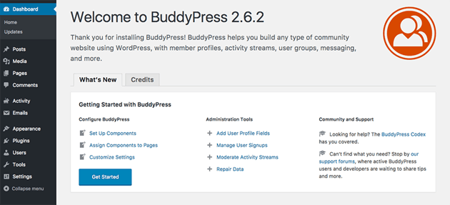 Cómo instalar y configurar BuddyPress en tu sitio web