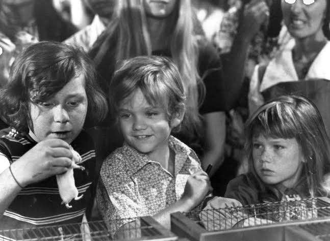 photo-Danny Bonaduce 1967