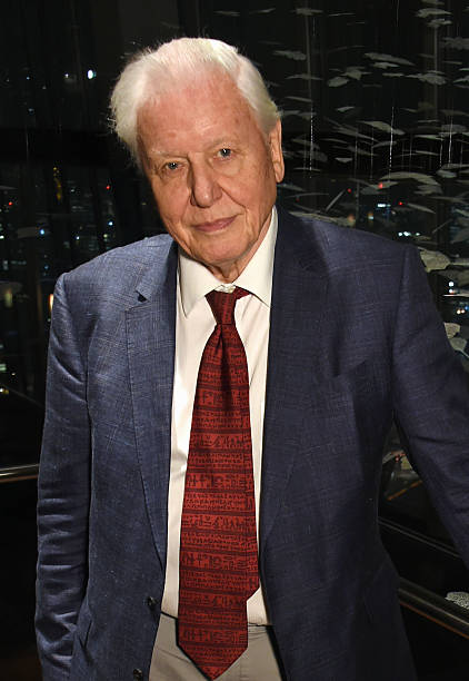 photo-David Attenborough 2016