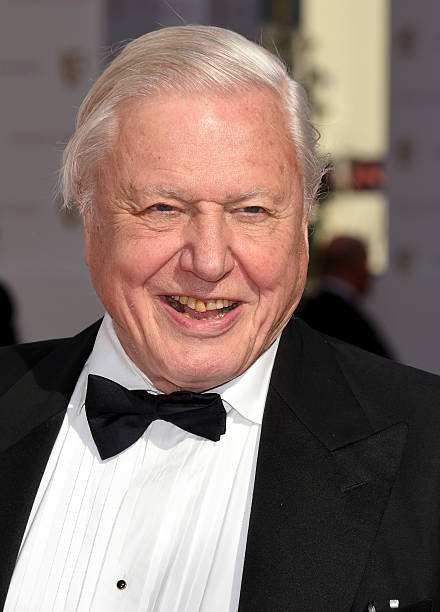 photo-David Attenborough 2015