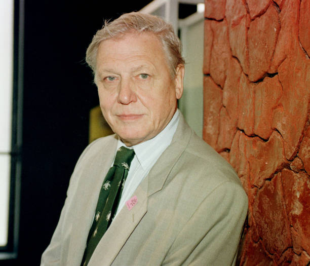 photo-David Attenborough 1998