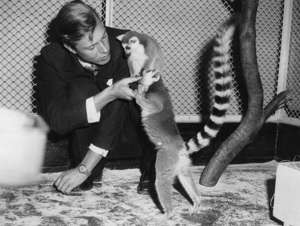 photo-David Attenborough 1962